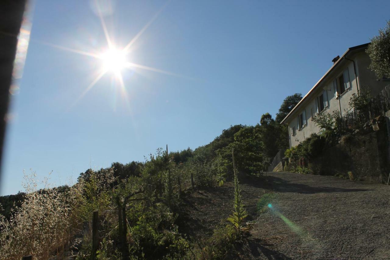 Collina Di Sopra Villa Tresana Eksteriør billede